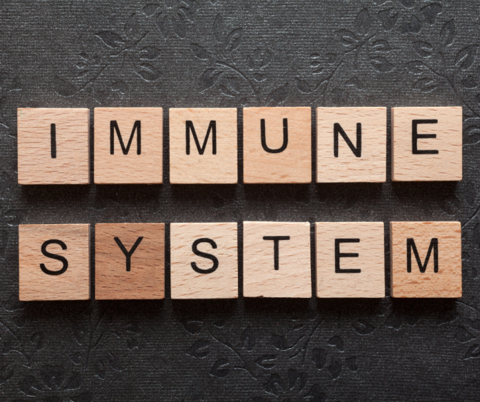 Immunity & Kidneys